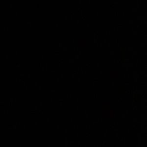 Meet your Posher, Kimber